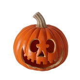 Pompoen oranje - (BO-2058535)